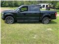 Ford
F-150 XLT sport toit panoramique
2017
